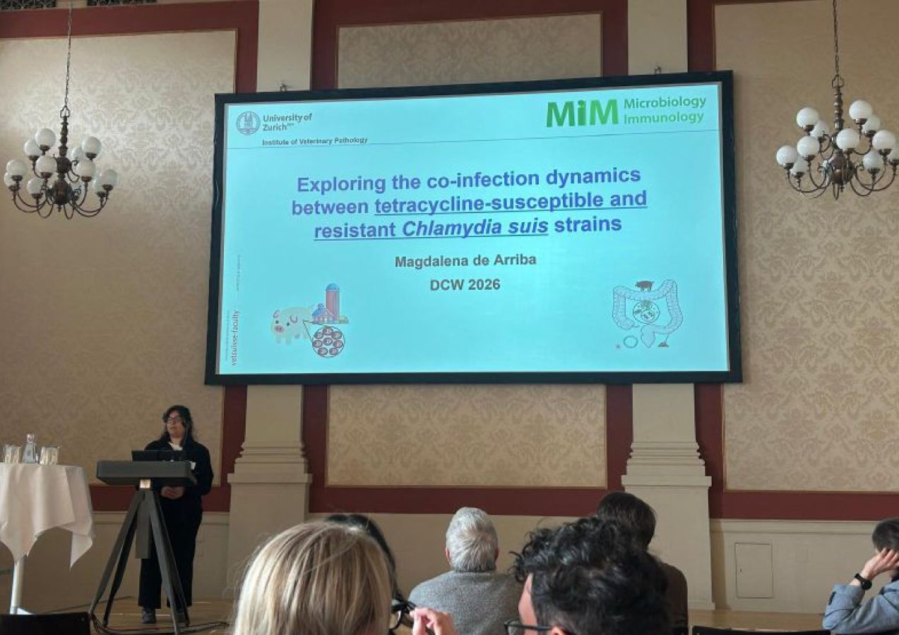 Magdalena de Arriba presenting her research on co-infection dynamics between tetracycline-susceptible and resistant Chlamydia suis strains.